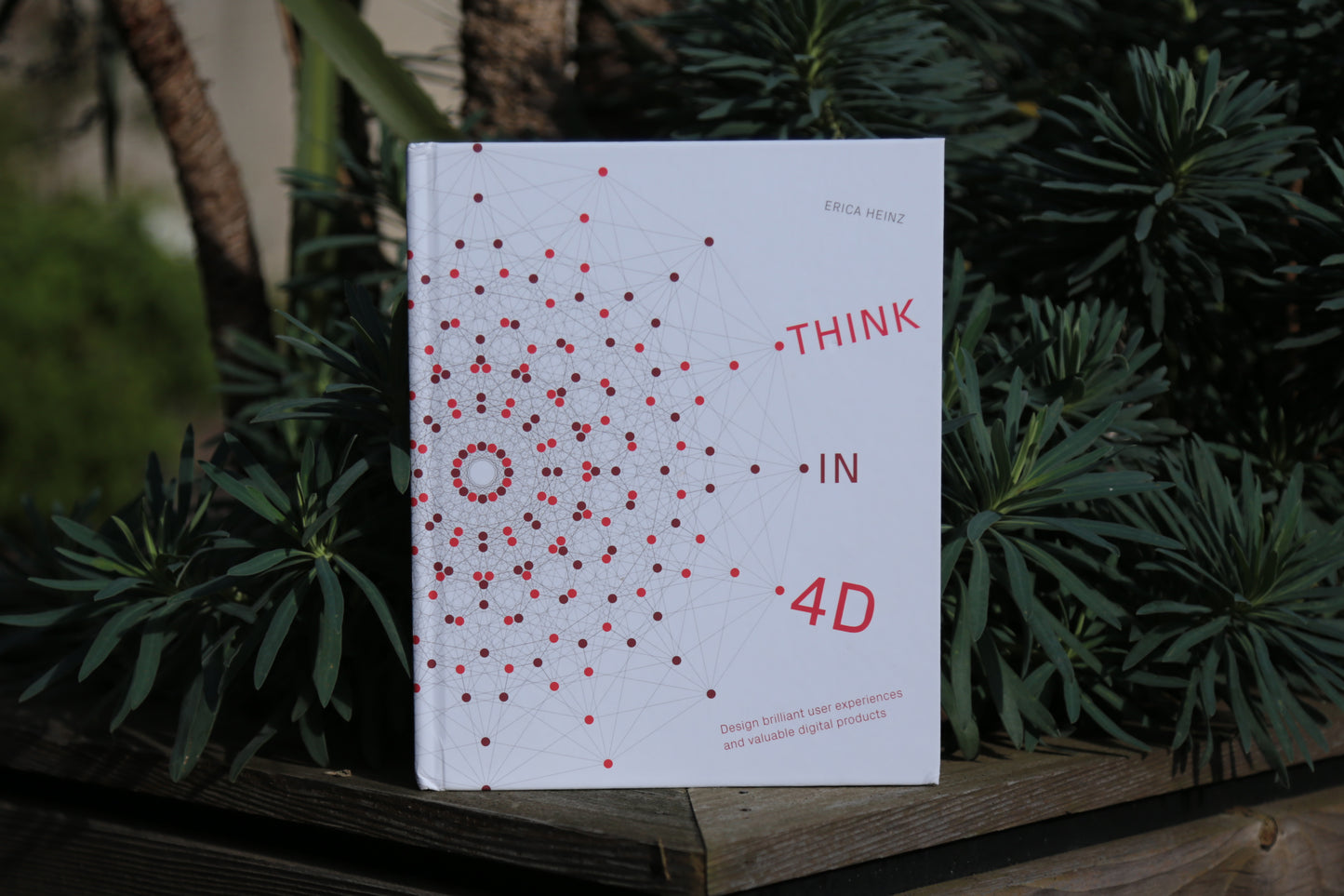 Think in 4D (hardcover)